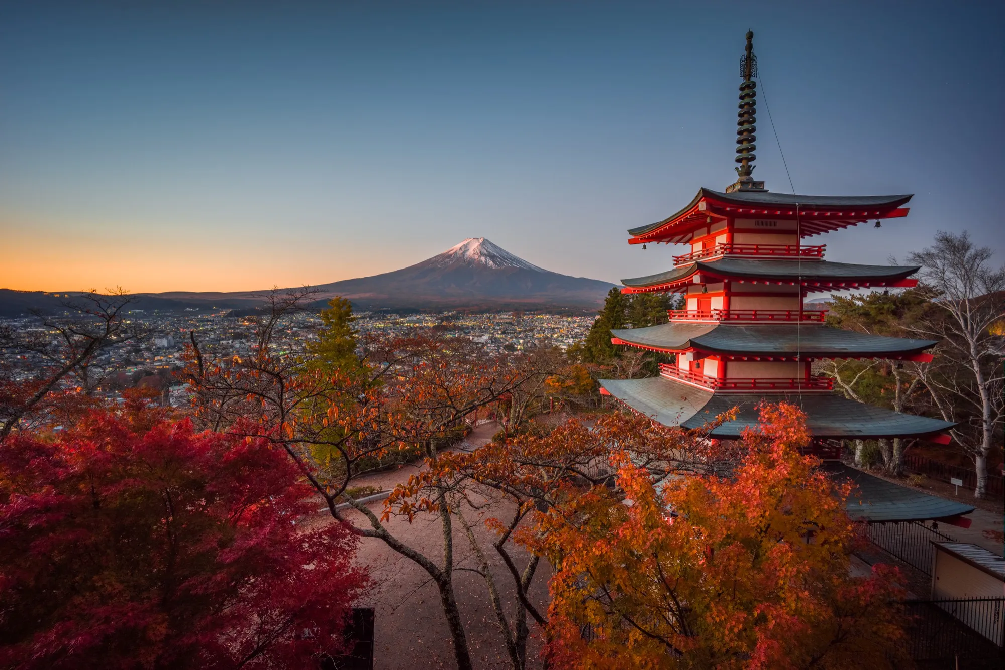 Experiencia Japonesa